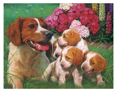 chiens
